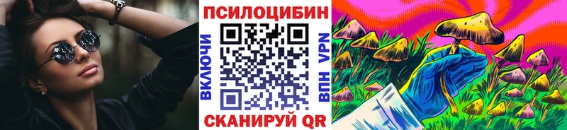 Купить  Нягань  Галлюциногенные грибы Psilocybe 